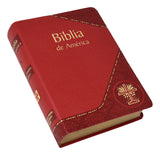 Spanish Bible / Biblia de America