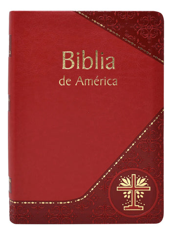 Spanish Bible / Biblia de America