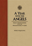 A Year with the Angels Leatherette Devotional