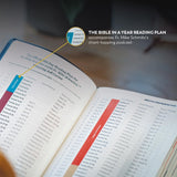 The Great Adventure Catholic Bible - Leatherlike