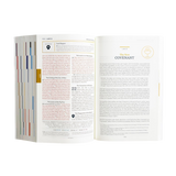 The Great Adventure Catholic Bible - Paperback