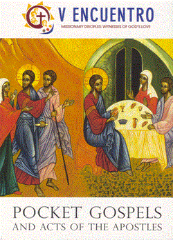 Pocket Gospels and the Acts of the Apostles