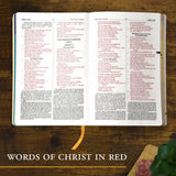 Personal Size New Catholic Bible for Youth