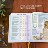 Brown New Catholic Bible - Gift Edition (Large Print)