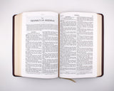 Douay-Rheims Bible (Deluxe Leatherette)